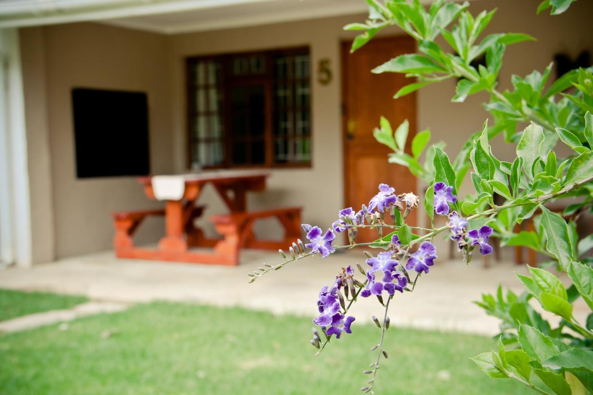 De Old Drift Guest Farm Villa Addo Room photo