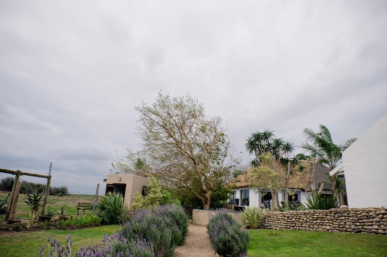De Old Drift Guest Farm Villa Addo Exterior photo